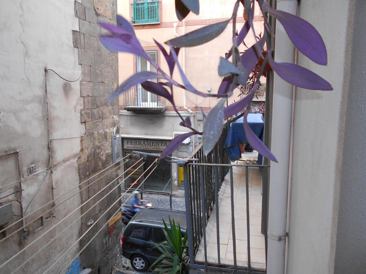 فيكو إيكوينس Robby'S House Bed & Breakfast المظهر الخارجي الصورة